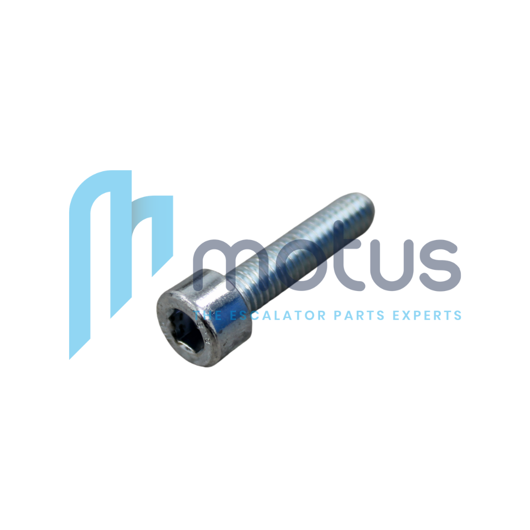 Anlev Socket Cap Screw M6 for Pallet Blocks