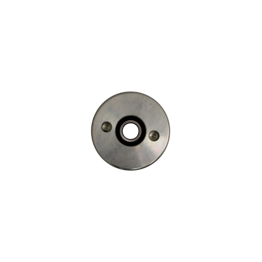Anlev Steel HR Guide Roller  98*30*6204