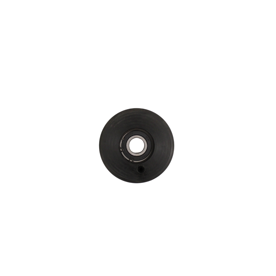 Handrail Speed Monitor Roller 100x30x6204
